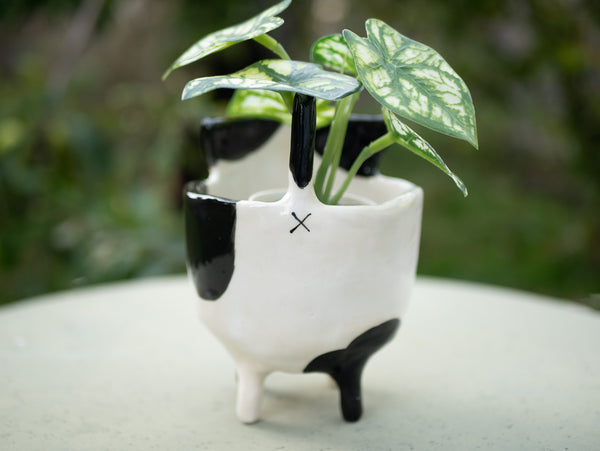 Black and White Cat Planter