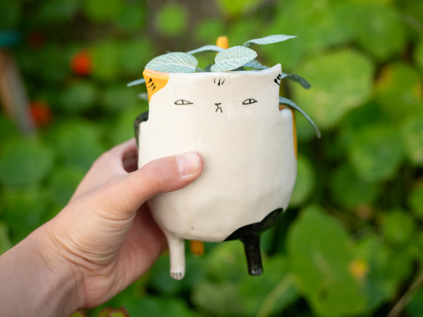 Custom Cat Planter