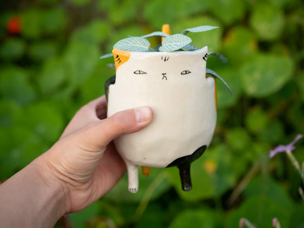 Calico Cat Planter