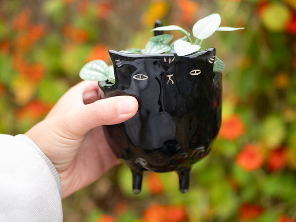 Black Cat Planter