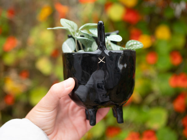 Black Cat Planter
