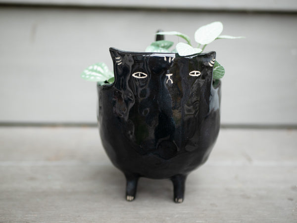 Black Cat Planter