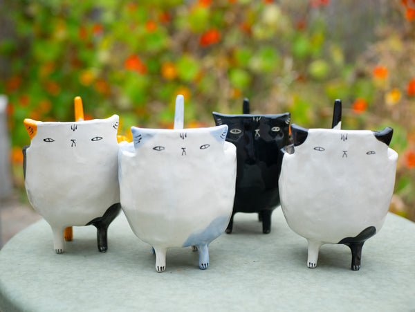Custom Cat Planter