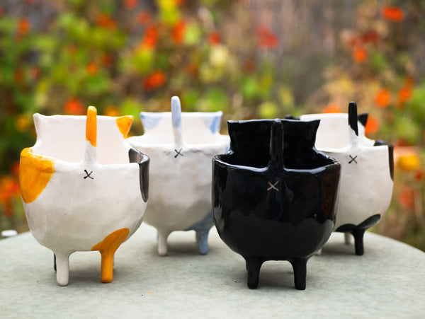 Custom Cat Planter