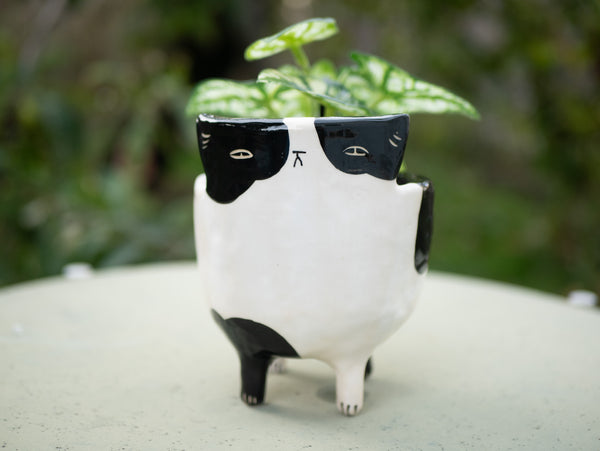 Black and White Cat Planter