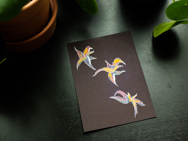 "Lil Dance" Print