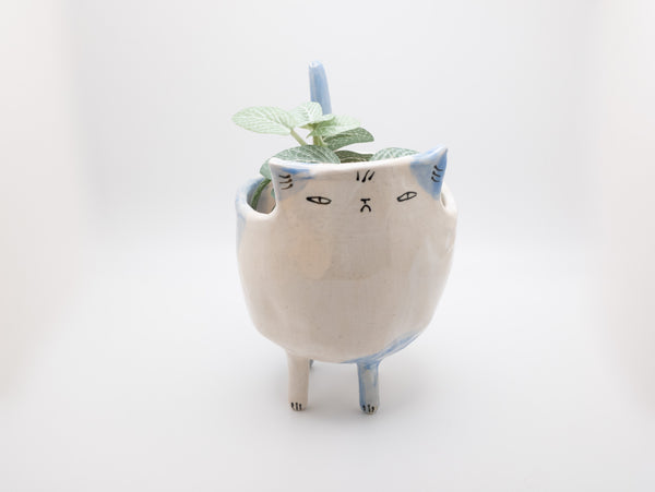 Blue and White Cat Planter